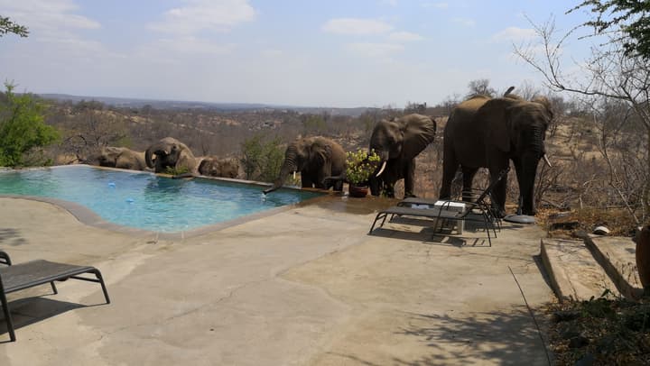 Mbizi Bush Lodge