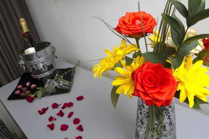 Hotel Black Tulip - Porto Gaia