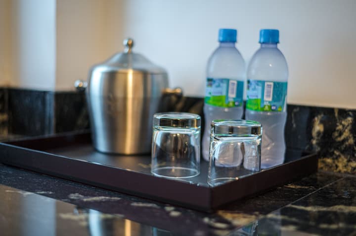 Sago Palm Hotel