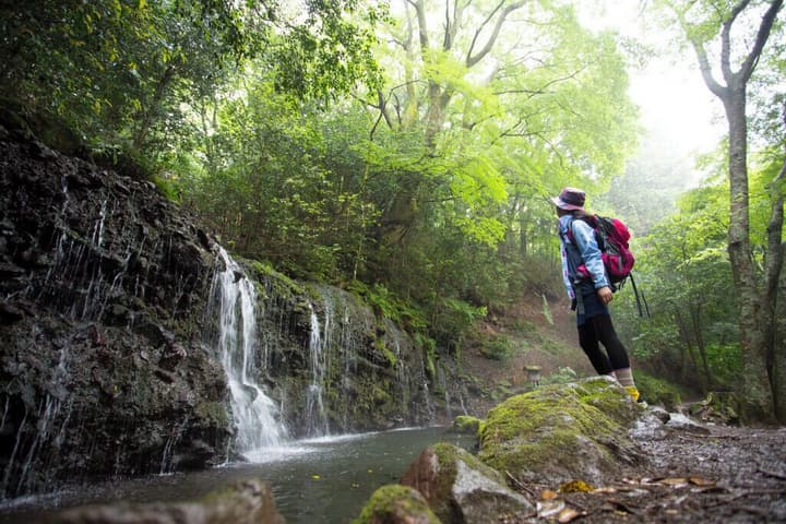 Hakone Kowakien