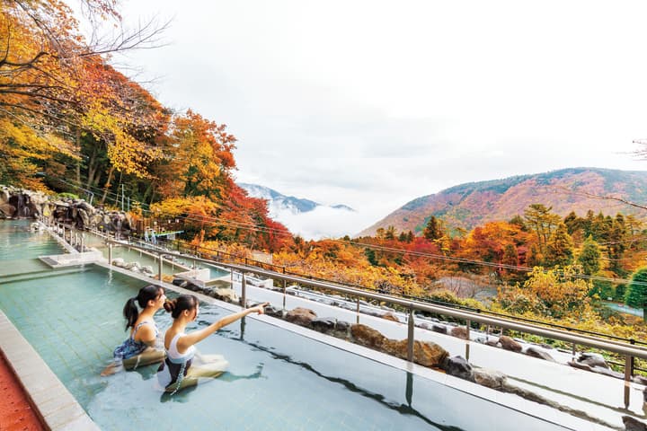 Hakone Kowakien