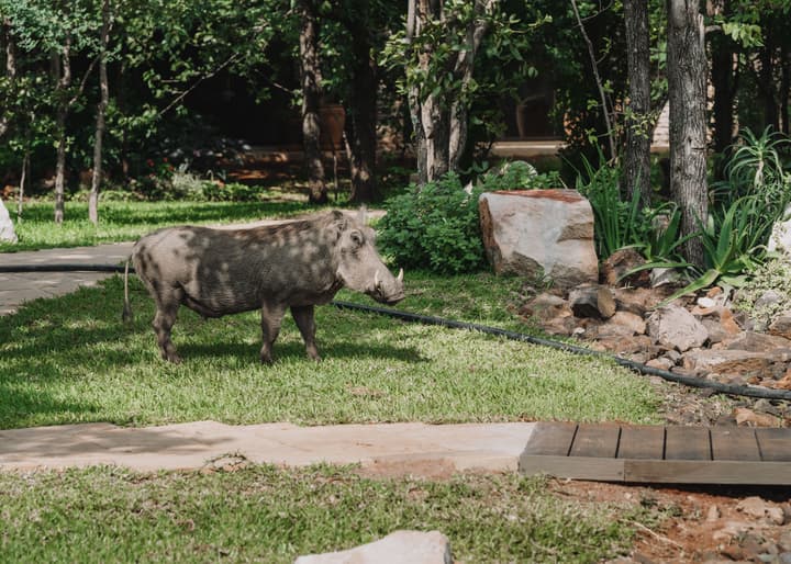 Insika Lodge