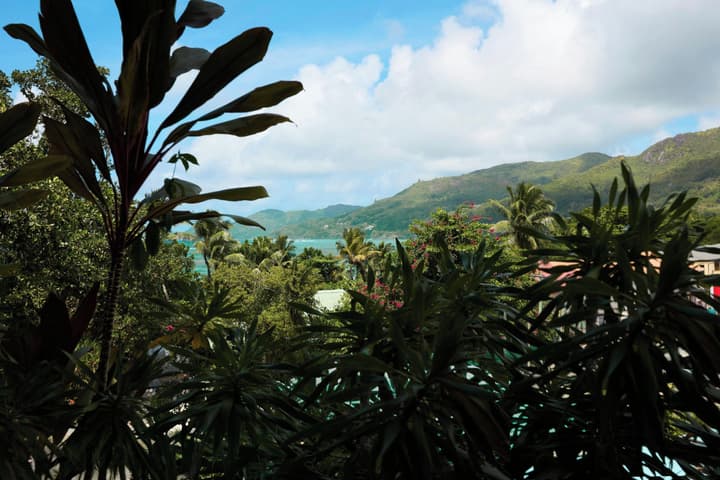 laïla, Seychelles, A Tribute Portfolio