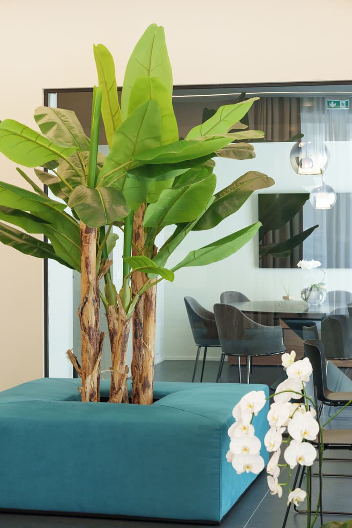 VI SUITES