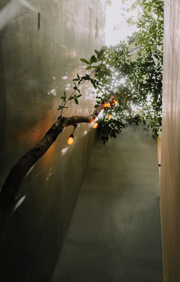 Japoneza Retreat Centro - Adults Only