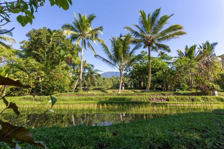 Prana Dewi Mountain Resort