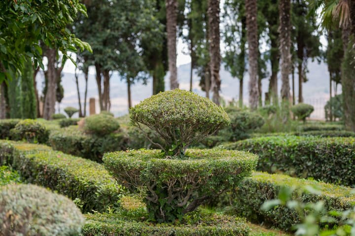 Castilla Termal Brihuega