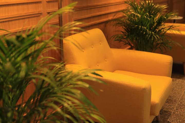 Pine Astoria Hotel