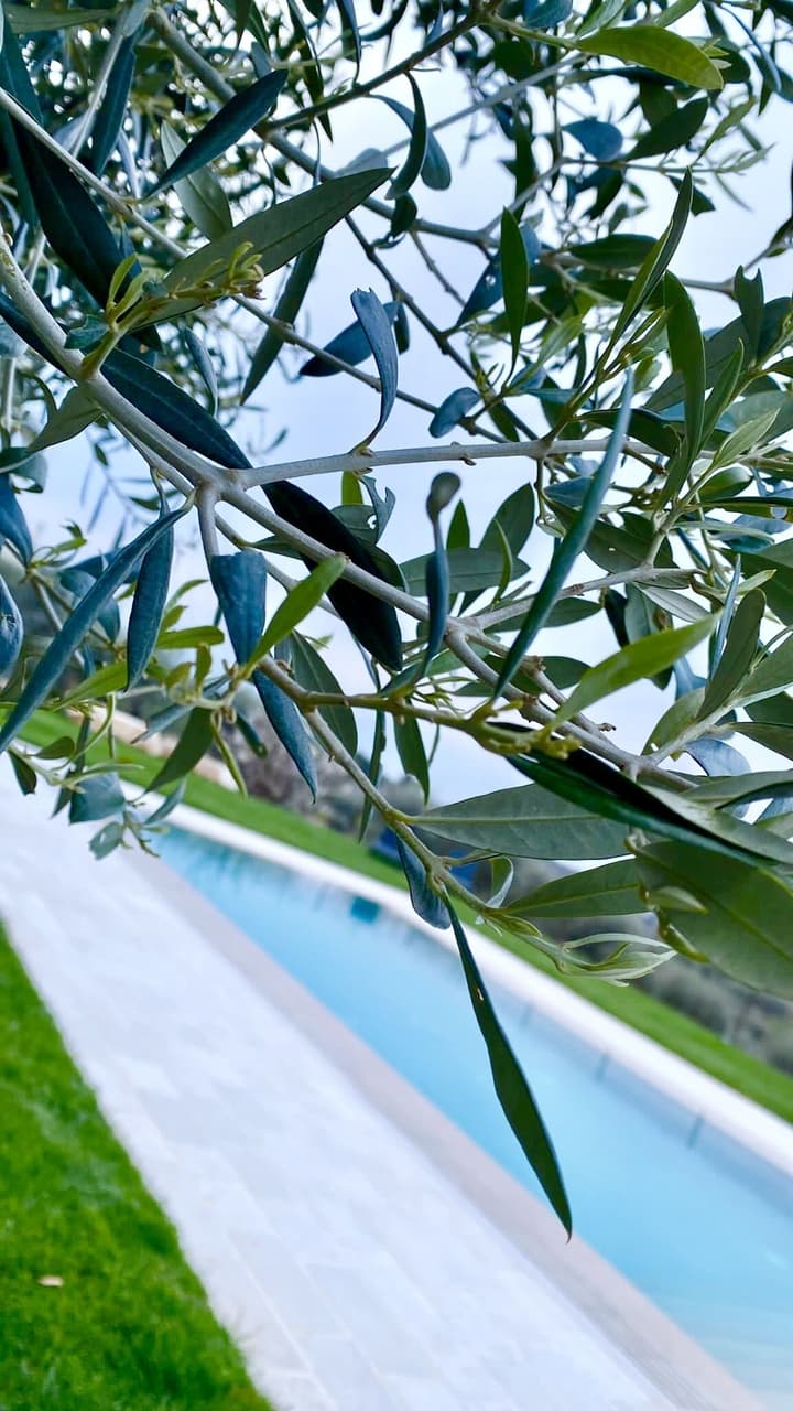 B&B Villa Maggi