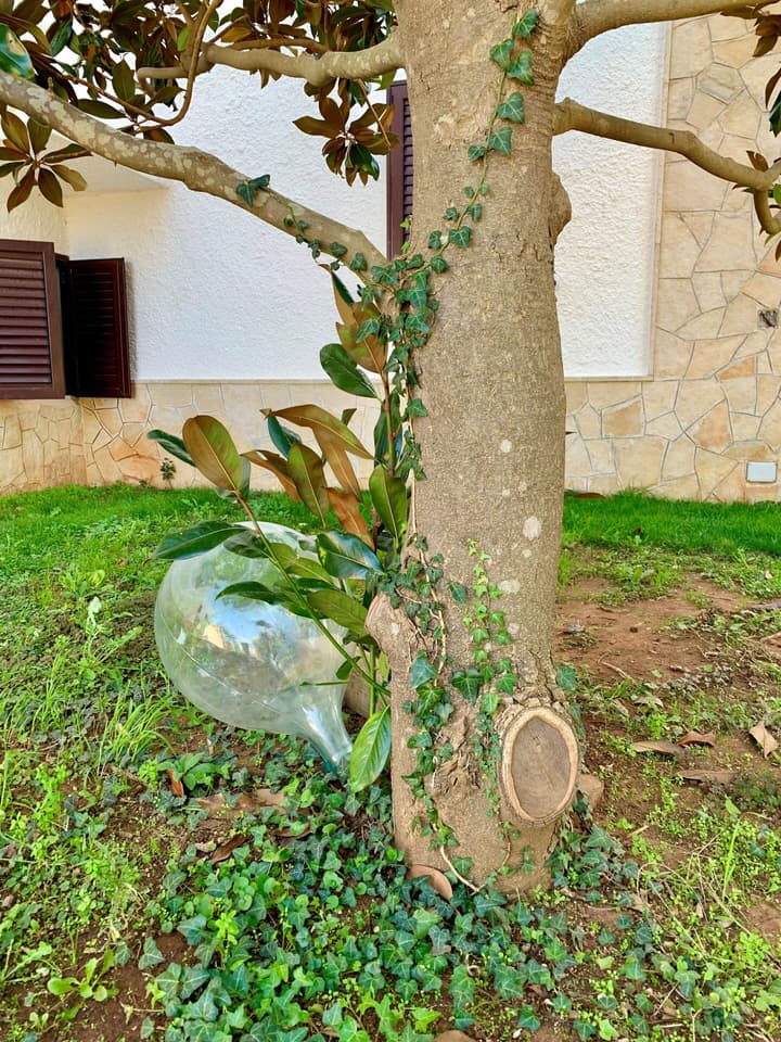 B&B Villa Maggi