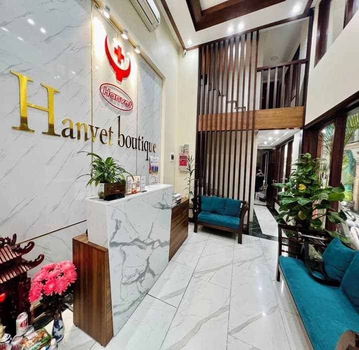 Hanvet Boutique hotel