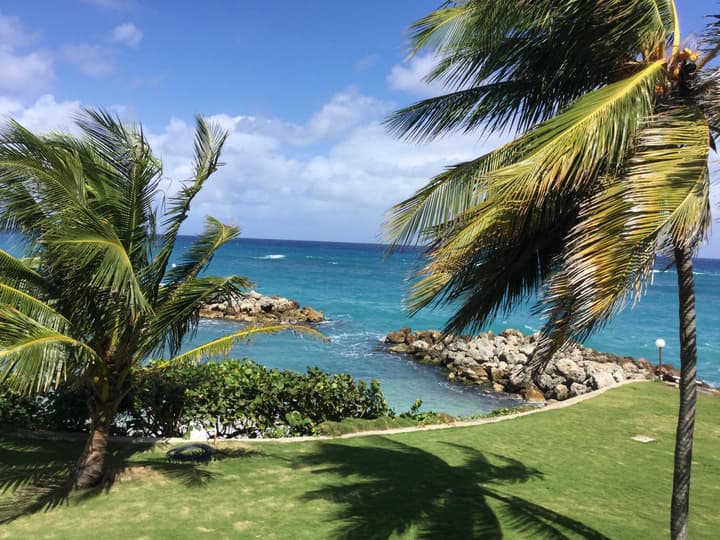 Sea Palms Holidays