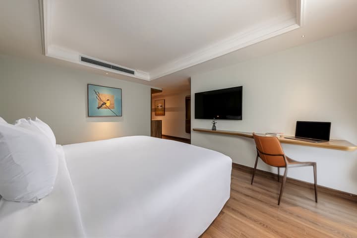 La Siesta Classic Hang Thung