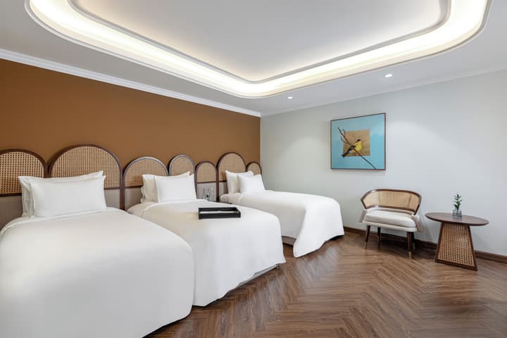 La Siesta Classic Hang Thung