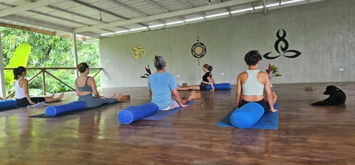Don Jons Lodge -Surf & Yoga