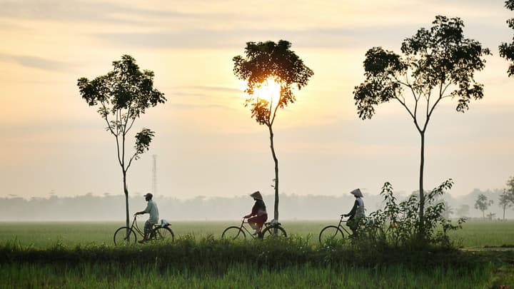 Sunkissed Paddy Hoi An Villa