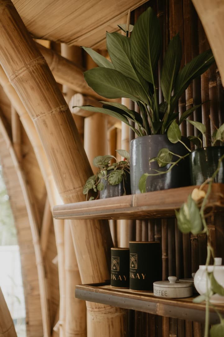 Villa Tokay - The Luxury Resort