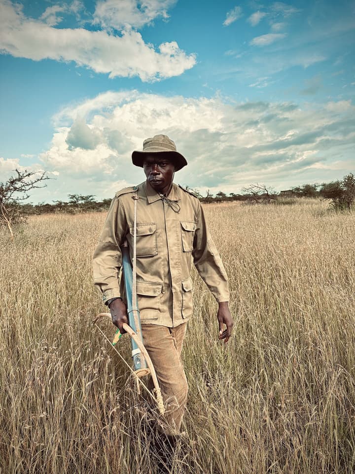 KUOOM SERENGETI