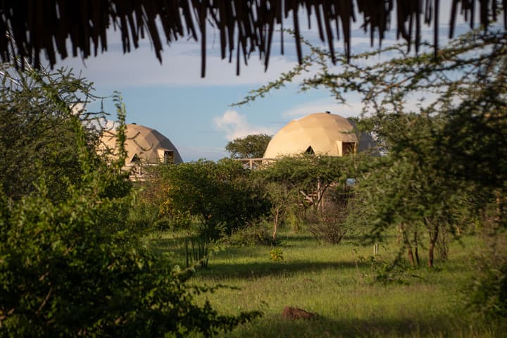 KUOOM SERENGETI
