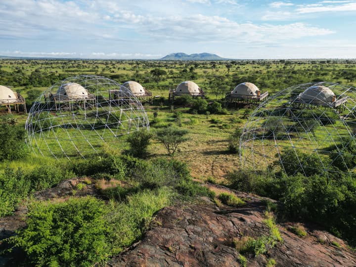 KUOOM SERENGETI
