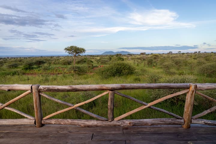 KUOOM SERENGETI
