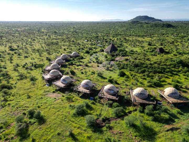 KUOOM SERENGETI