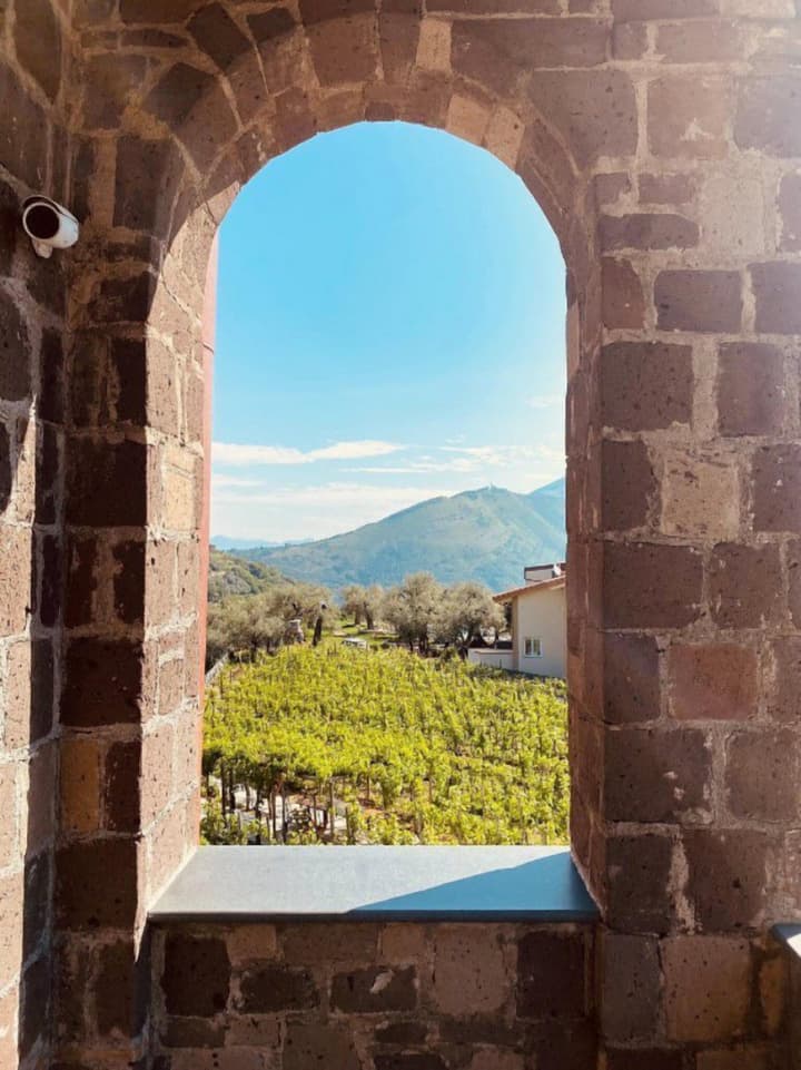 Tenuta Miranda