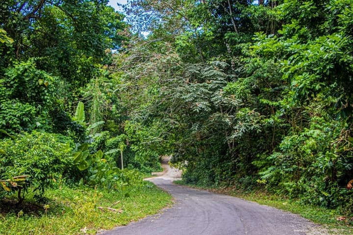 The Hamilton's Nature Villa