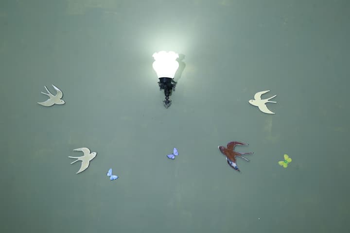 Oasis Colombo