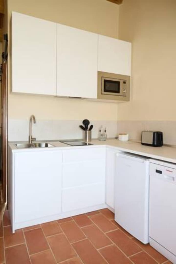 Los Apartamentos del Palacio