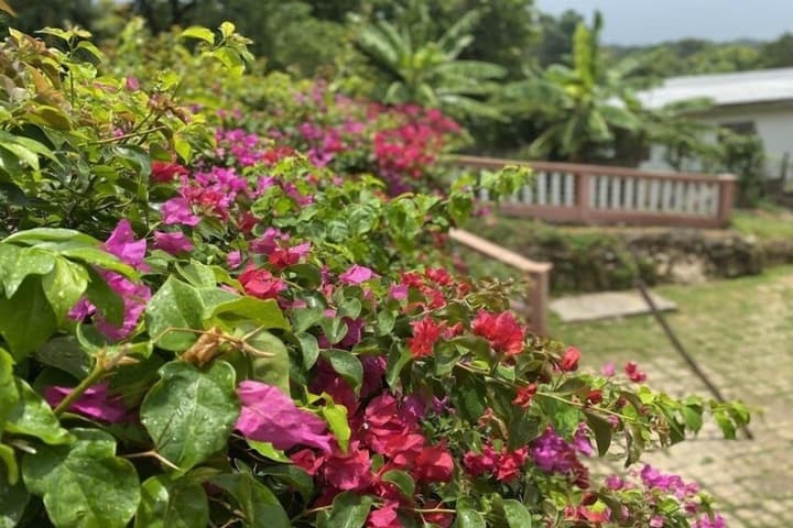 Yanceylargo Estate - Newly Renovated 3 Br Villa W Gorgeous Mountain Views 3 Bedroom Villa by RedAwning