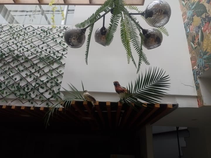 Hotel Boutique Quinta Camacho