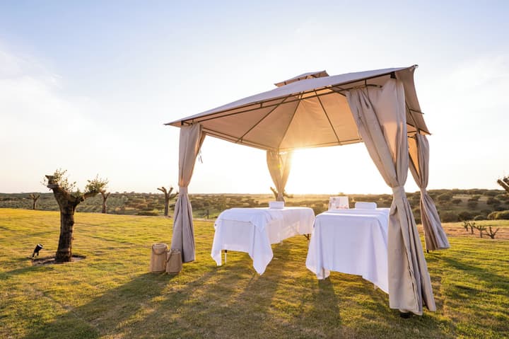 Vila Gale Collection Hotel Monte do Vilar