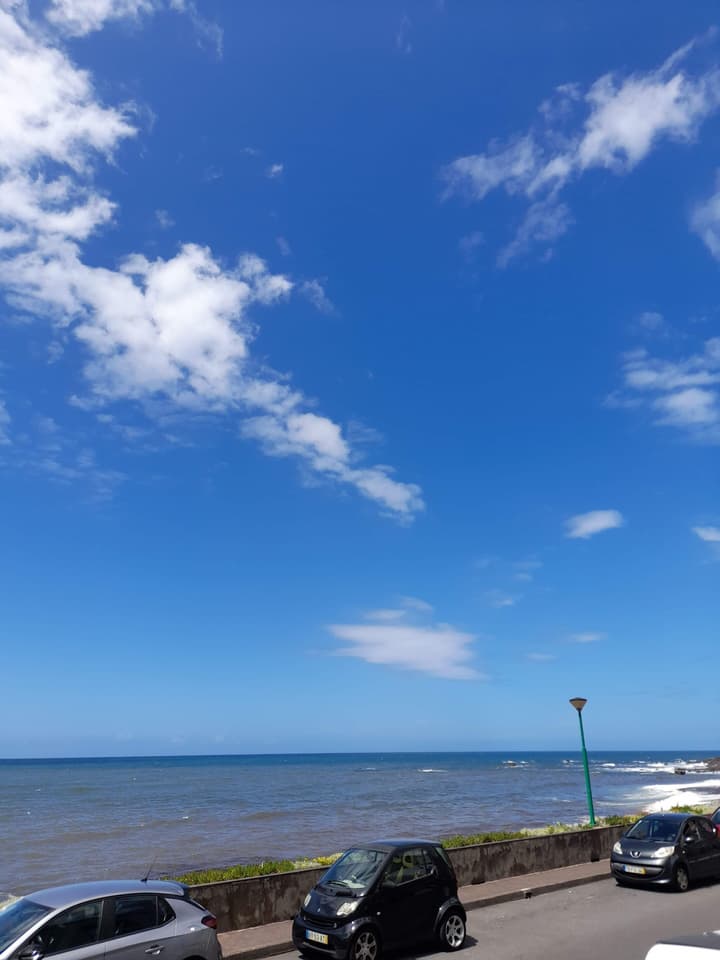 Mediterrâneo Madeira