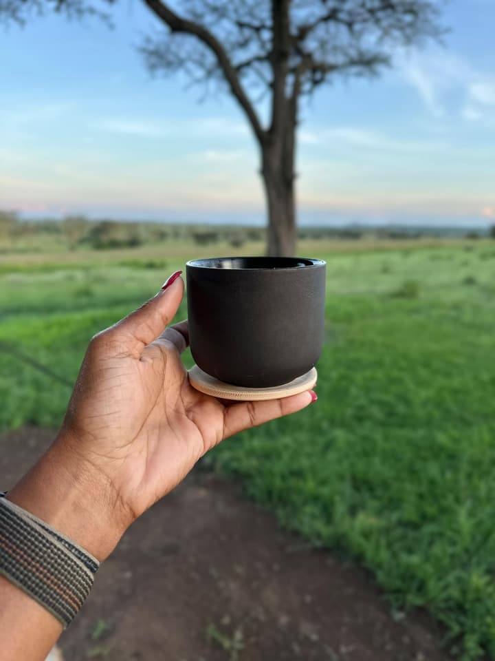 Anantya Serengeti