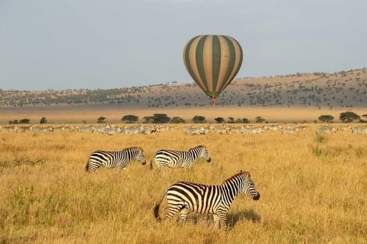Anantya Serengeti