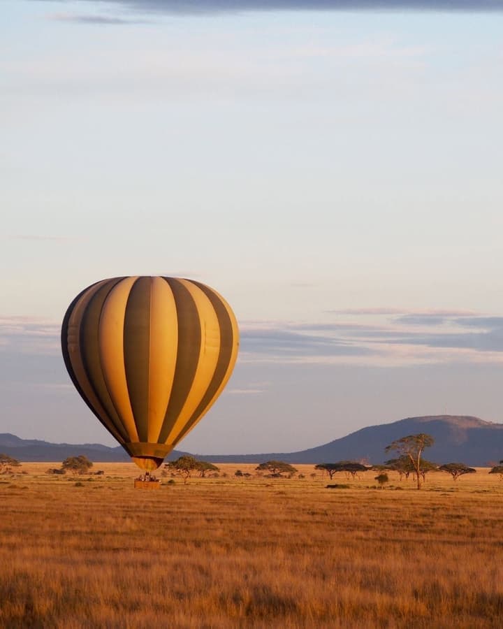 Anantya Serengeti
