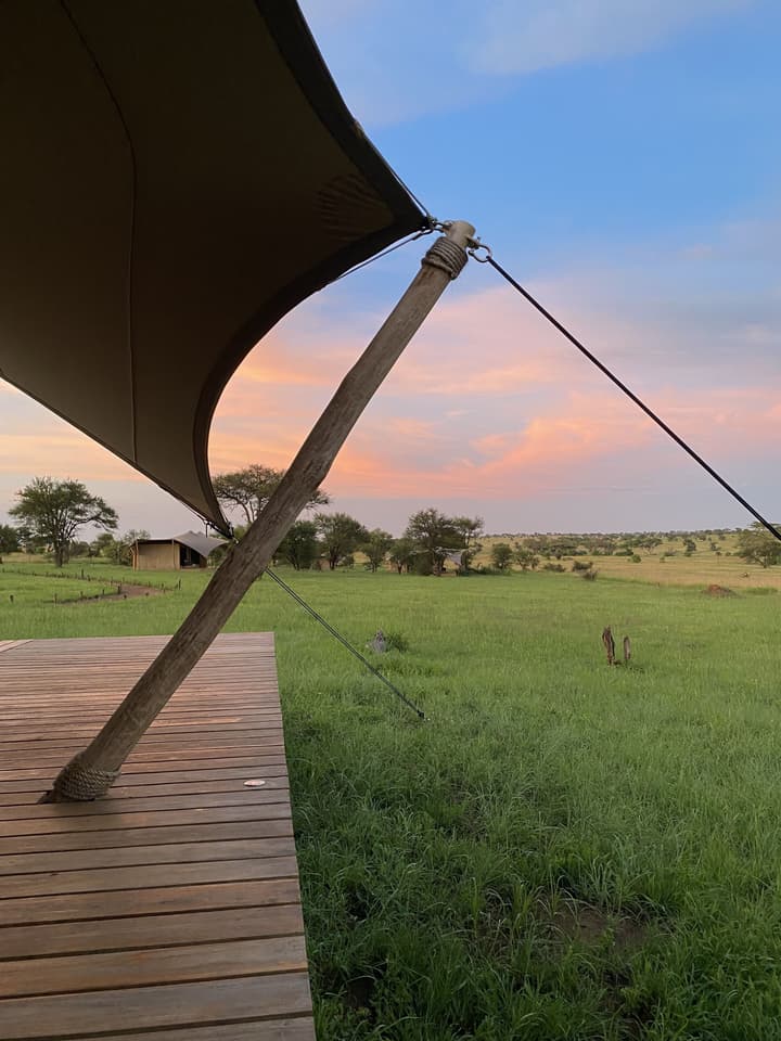 Anantya Serengeti