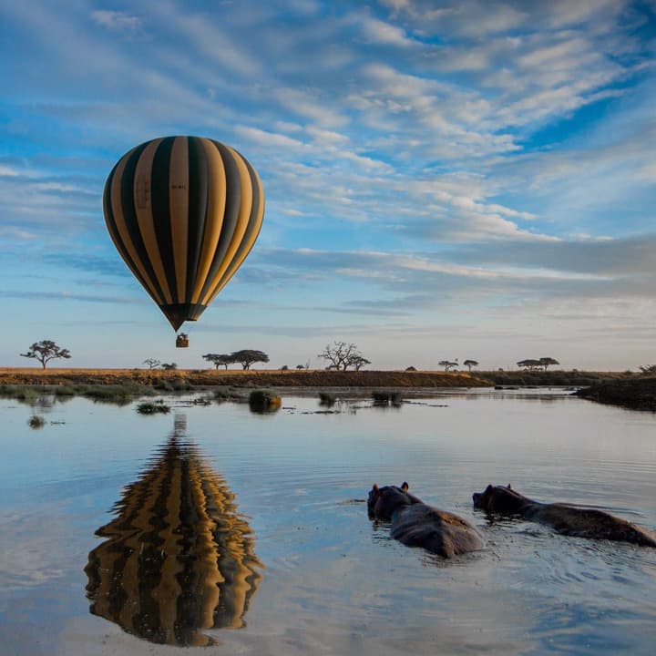 Anantya Serengeti