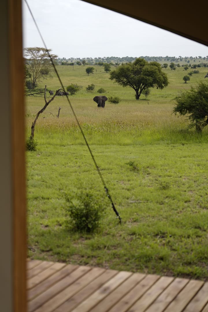Anantya Serengeti
