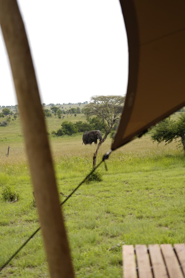 Anantya Serengeti