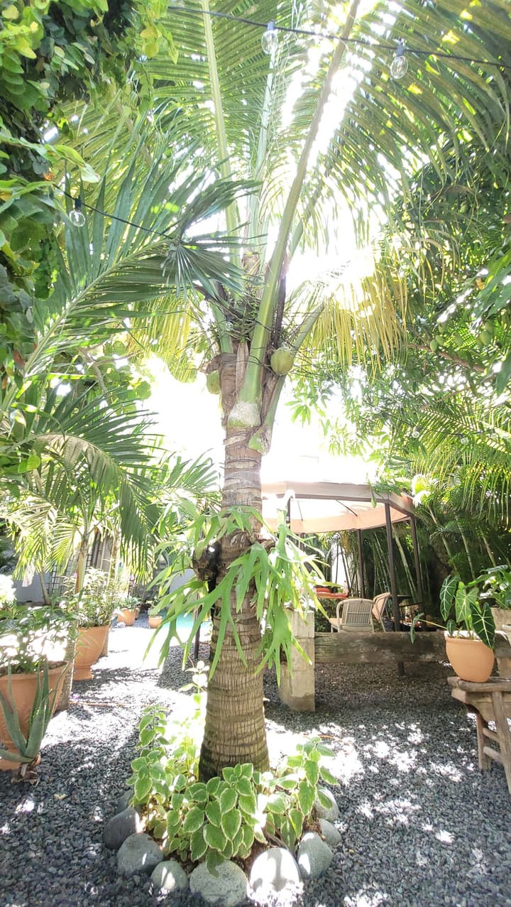 Green Oasis Hotel