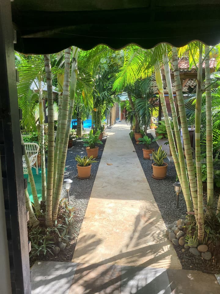 Green Oasis Hotel