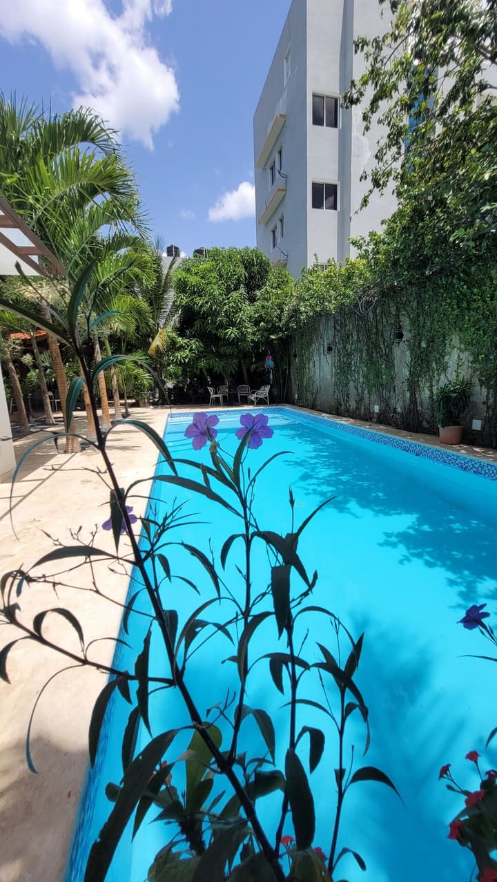 Green Oasis Hotel
