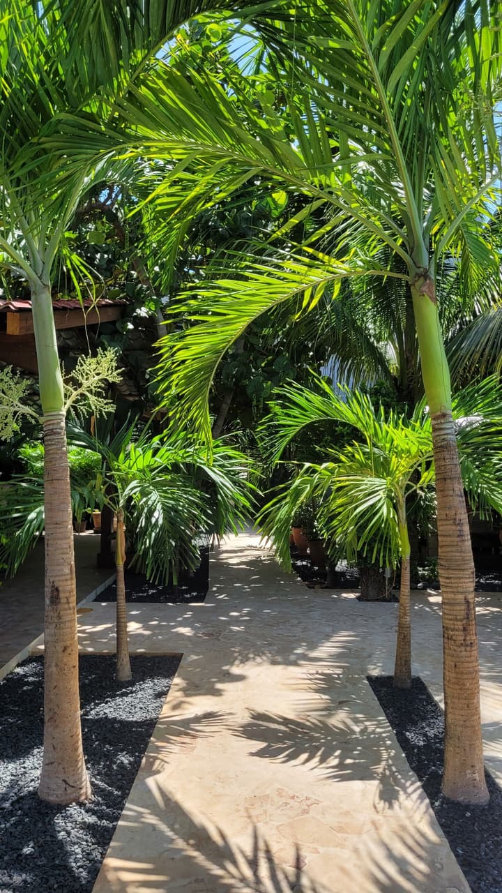 Green Oasis Hotel