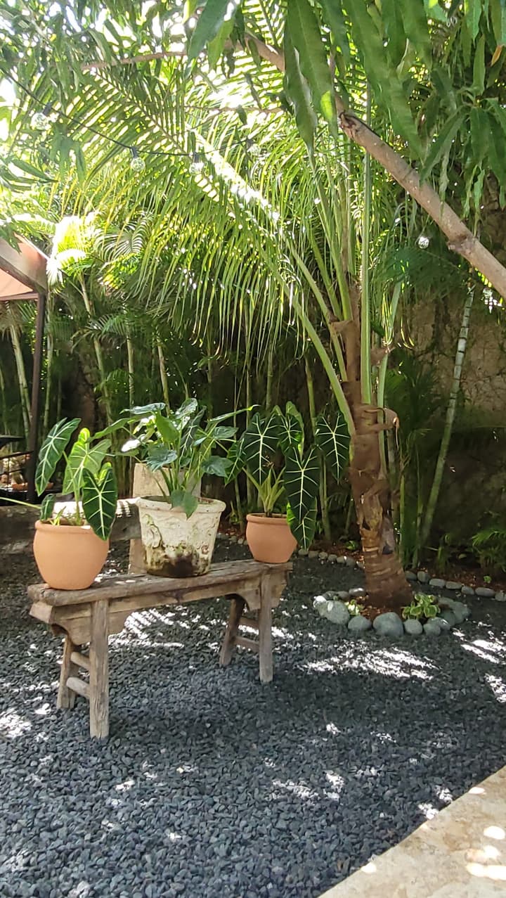 Green Oasis Hotel