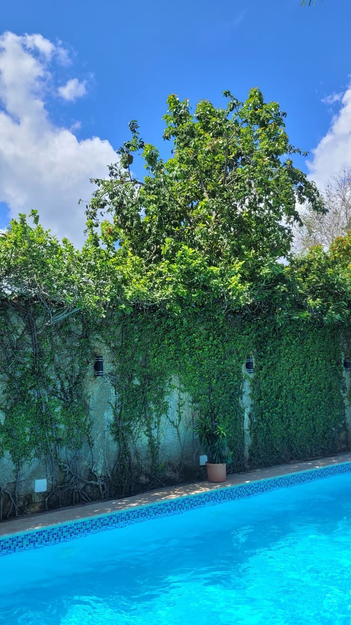 Green Oasis Hotel