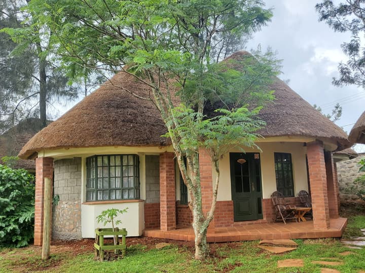 Edaala Comfort