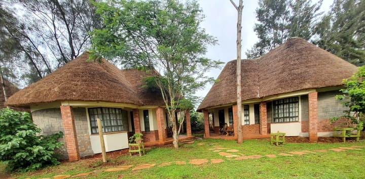 Edaala Comfort