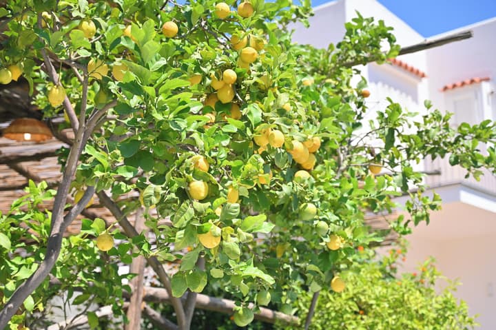 B&B La Rosa